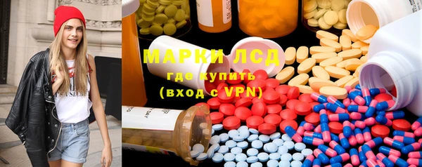 ПСИЛОЦИБИНОВЫЕ ГРИБЫ Зерноград