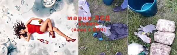 ПСИЛОЦИБИНОВЫЕ ГРИБЫ Зерноград