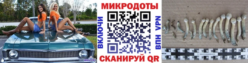Галлюциногенные грибы Psilocybe  Купить закладки  Зима 